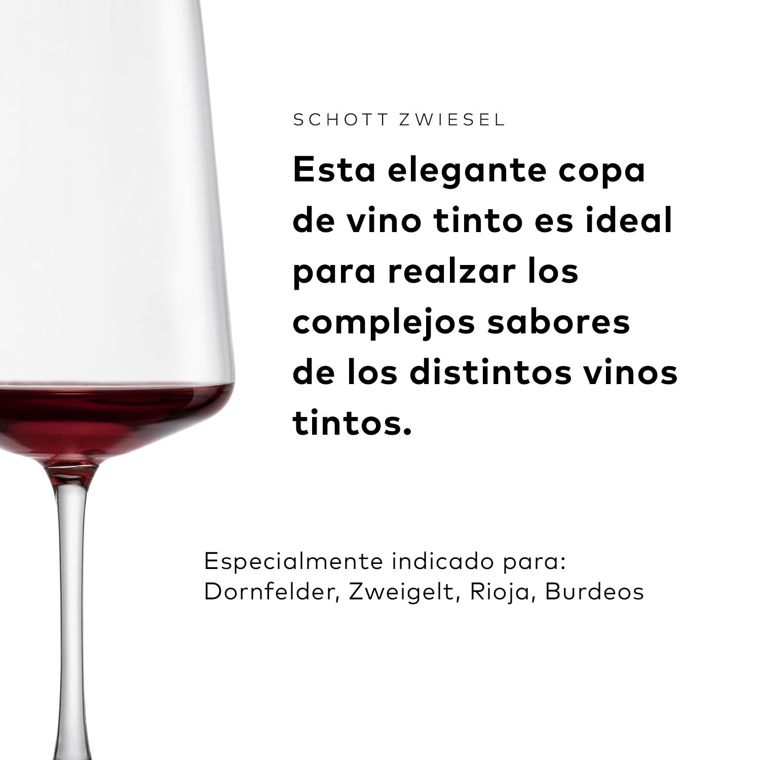 SCHOTT ZWIESEL Juego de copas MioVino (set de 12), modernas copas de vino y copas de champán en un juego, copas de cristal Tritan aptas para lavavajillas, fabricadas en Alemania (nº art. 124072)