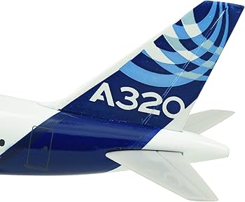 Amazon | TANG DYNASTY 1/200 18.8cm エアバス社塗装機 NEO Original