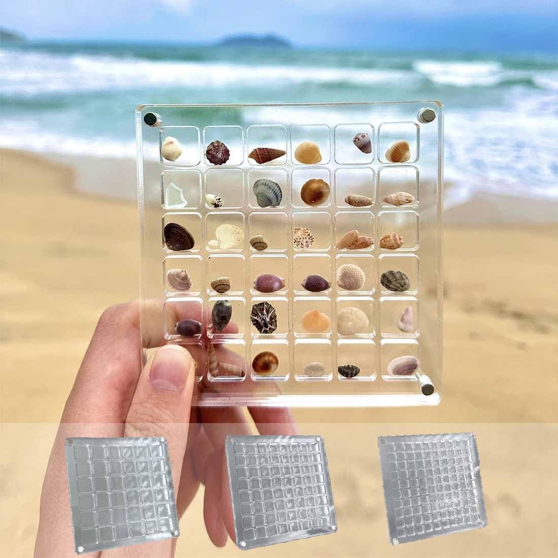 Amazon｜アクリル磁気貝殻ディスプレイボックス、多機能ッド