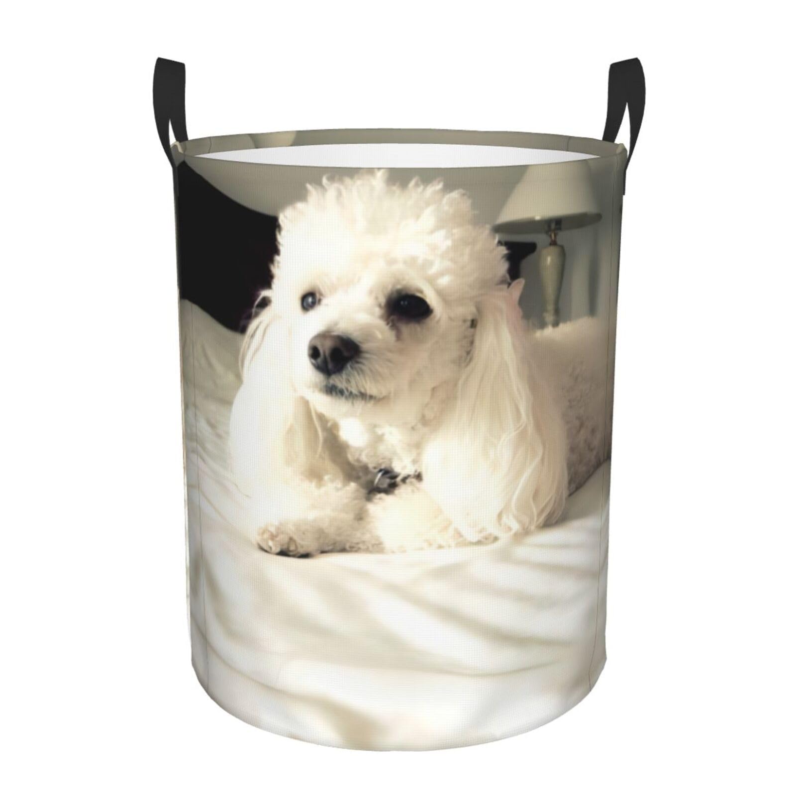 M Circular Hamper – Collapsible french poodle Print Laundry Basket