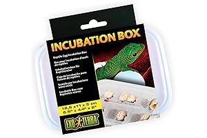 Exo Terra Box for Reptile and Amphibian Terrariums