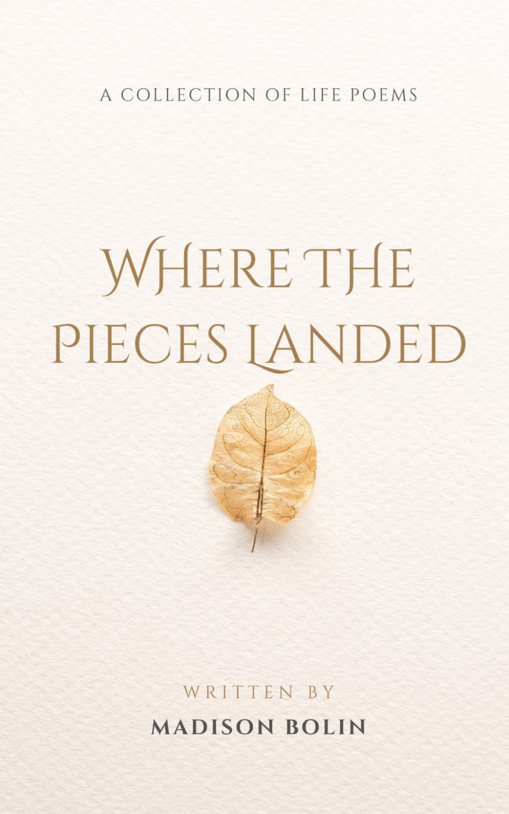 Where the Pieces Landed