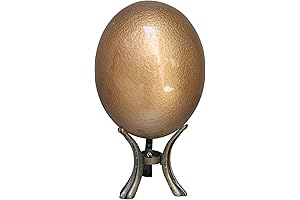 Gold Glazed Ornamental Ostrich Eggs for Sale