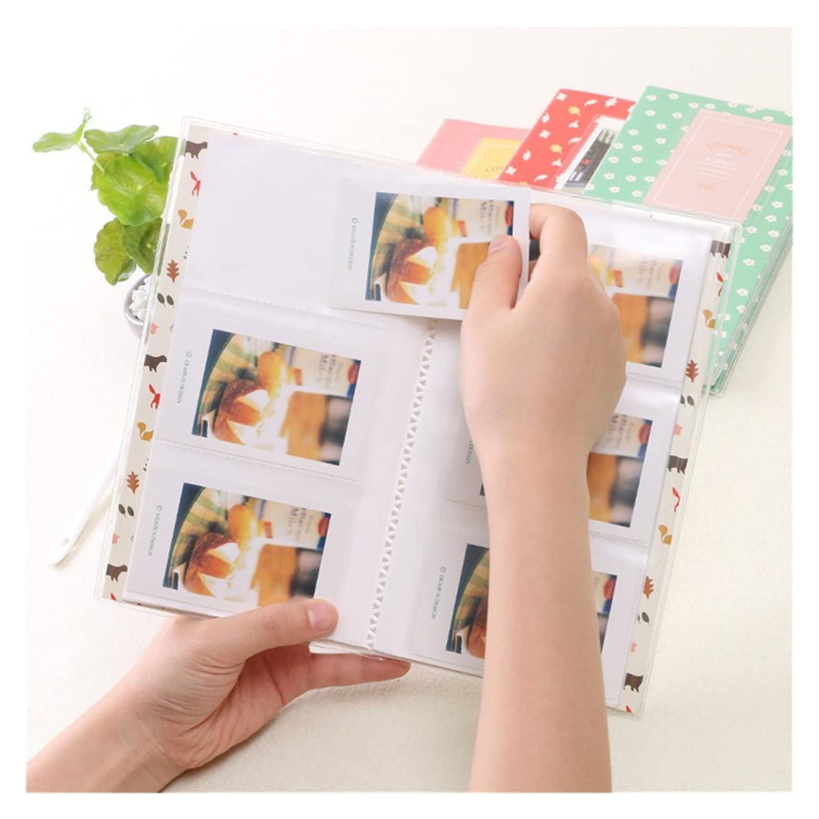 Amazon.co.jp: フォトアルバム 84 写真、3 インチ写真、ミニ花と鳥の