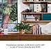 All-new Sonos One – 2-Room Voice Controlled Smart Speaker with Amazon Alexa...