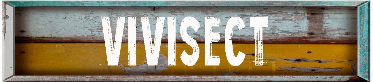 VIVISECT Rectangle Painted Wood Look Magnet for use on Any Steel Surface