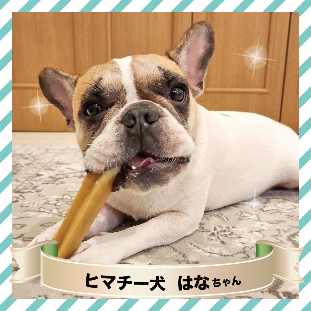 Amazon.co.jp: 正規品ヒマチー Mサイズ（単品）約70g ヒマラヤチーズ
