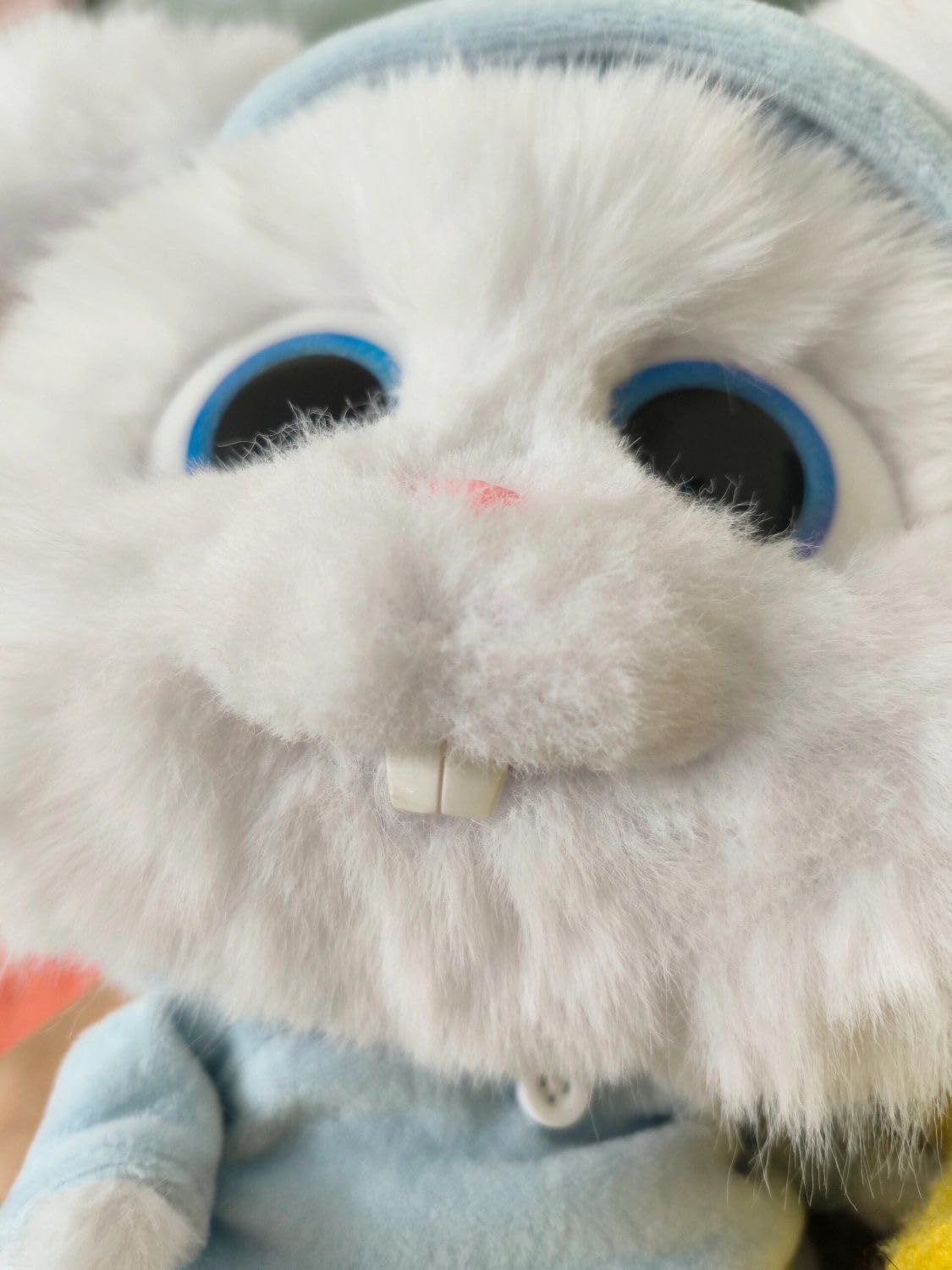 Amazon.co.jp: [Hushan] ニンジンを持つ ウサギ ぬいぐるみ 非公式