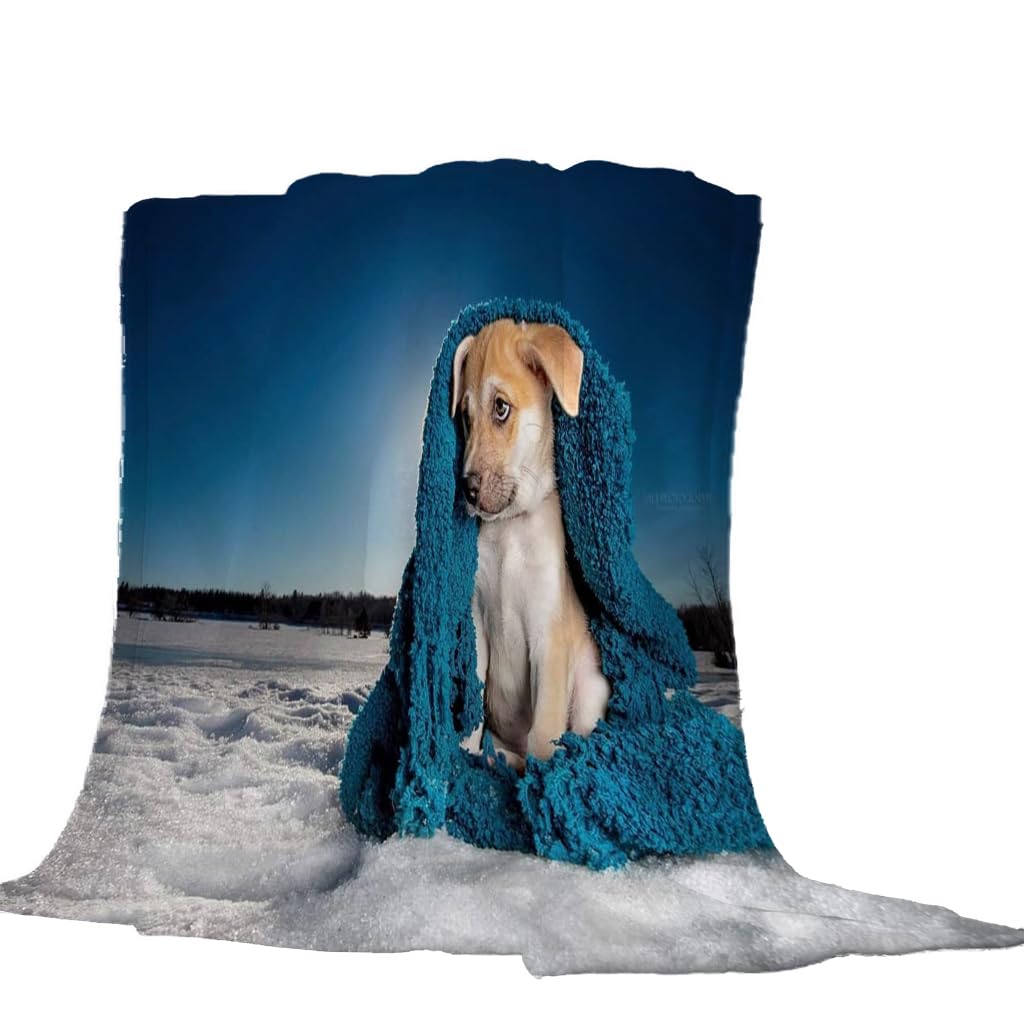 Coperta Di Flanella Letto Matrimoniale Invernale 150X180Cm Coperta Pile In Microfibra Morbida Pelosa Calda Copriletto Per Divano/Bambini Camere Da Letto, Coperta In Peluche Blu Per Cani Animali Mo