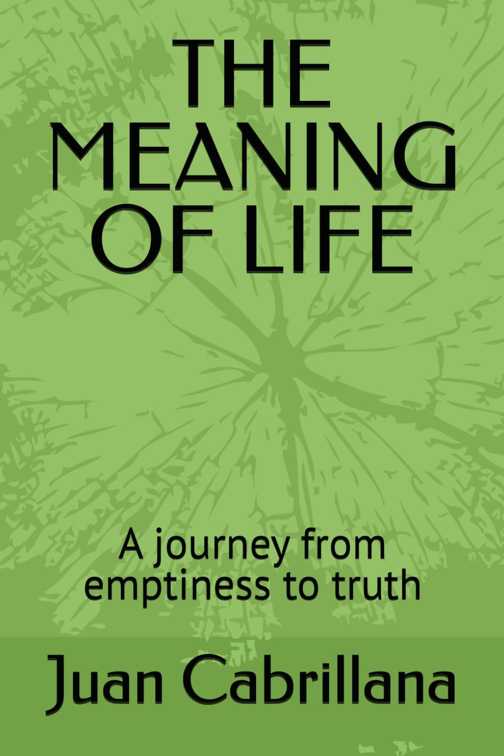 THE MEANING OF LIFE: A journey from emptiness to truth
