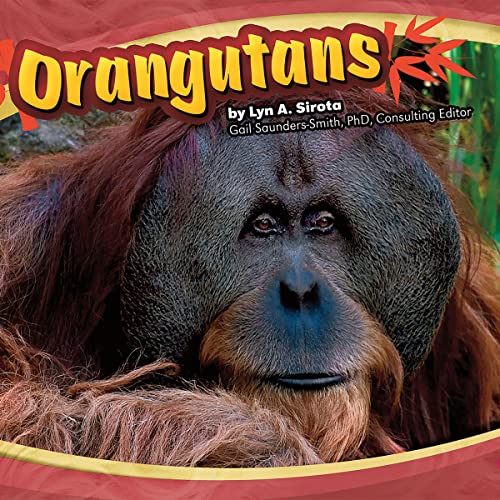 Orangutans by Joanne Mattern episode artwork
