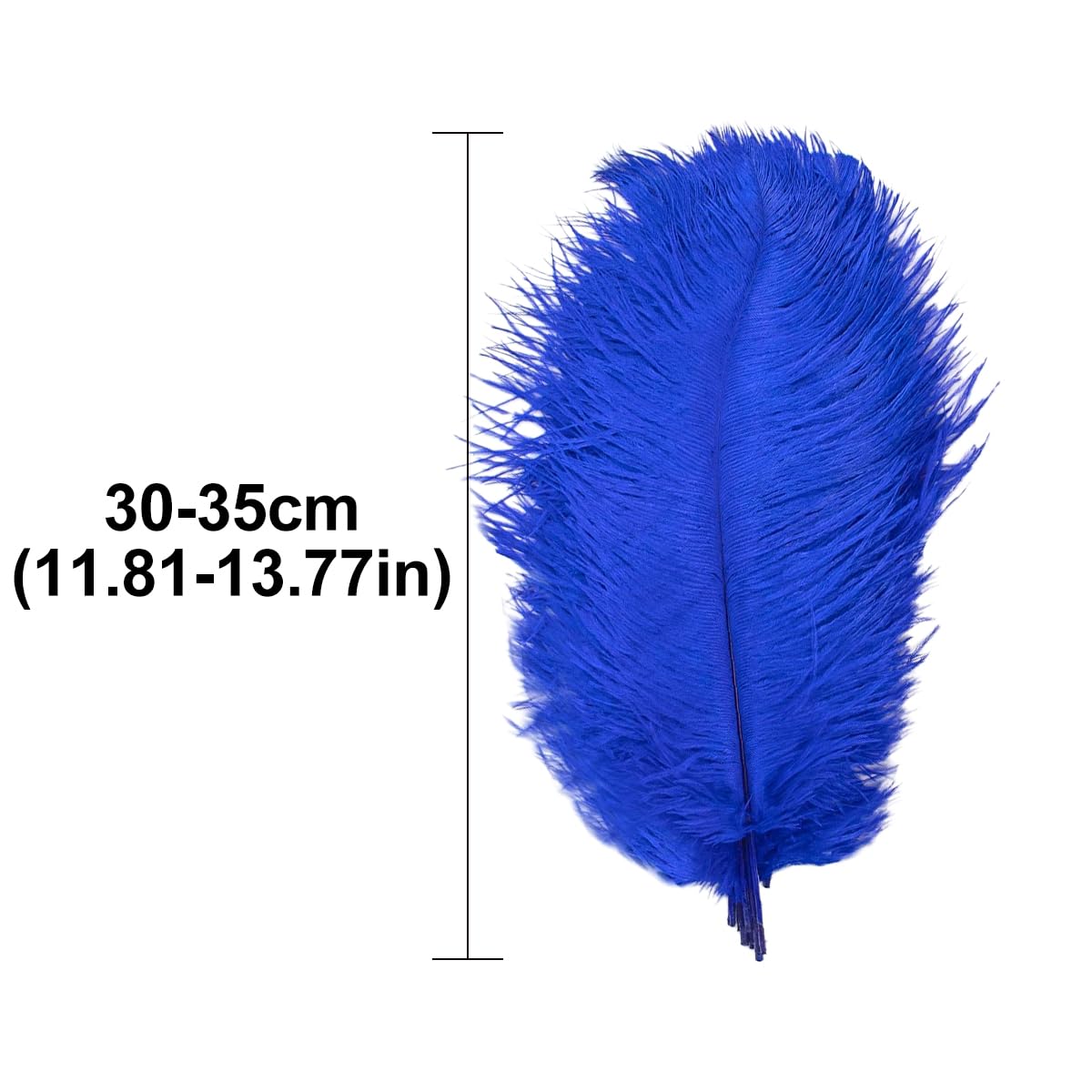 Amazon.com: Queenbox 11.8-13.8in 10psc Candy Ostrich Feathers
