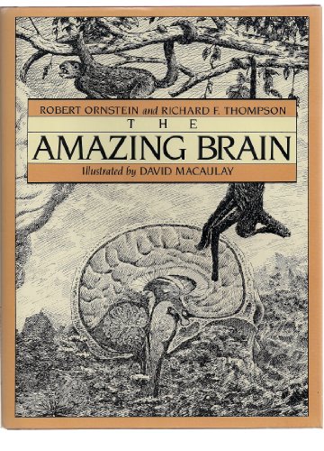 The Amazing Brain 0395354862 Book Cover
