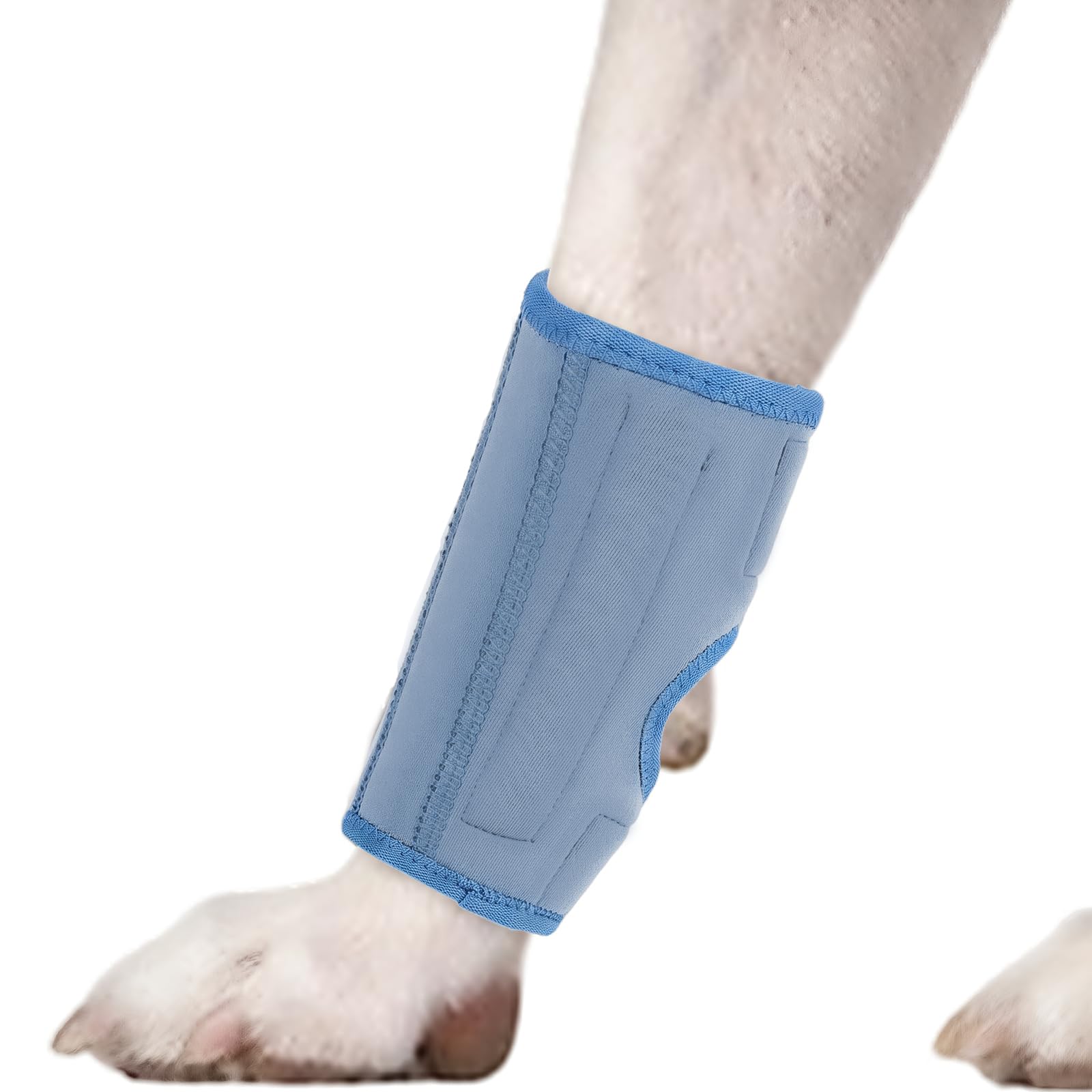 PUMYPOREITY 1Pcs Dog Joint Brace, Canine Hock Support Dog Elbow Brace Compression Wrap Straps for ACL CCL Joint Injury and Sprain Protection, Healing and Loss of Stability(Blue, S) — image 1