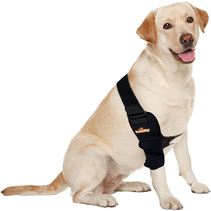 Buy NeoAlly Breathable Dog Elbow Brace Protector Pads for Canine Elbow