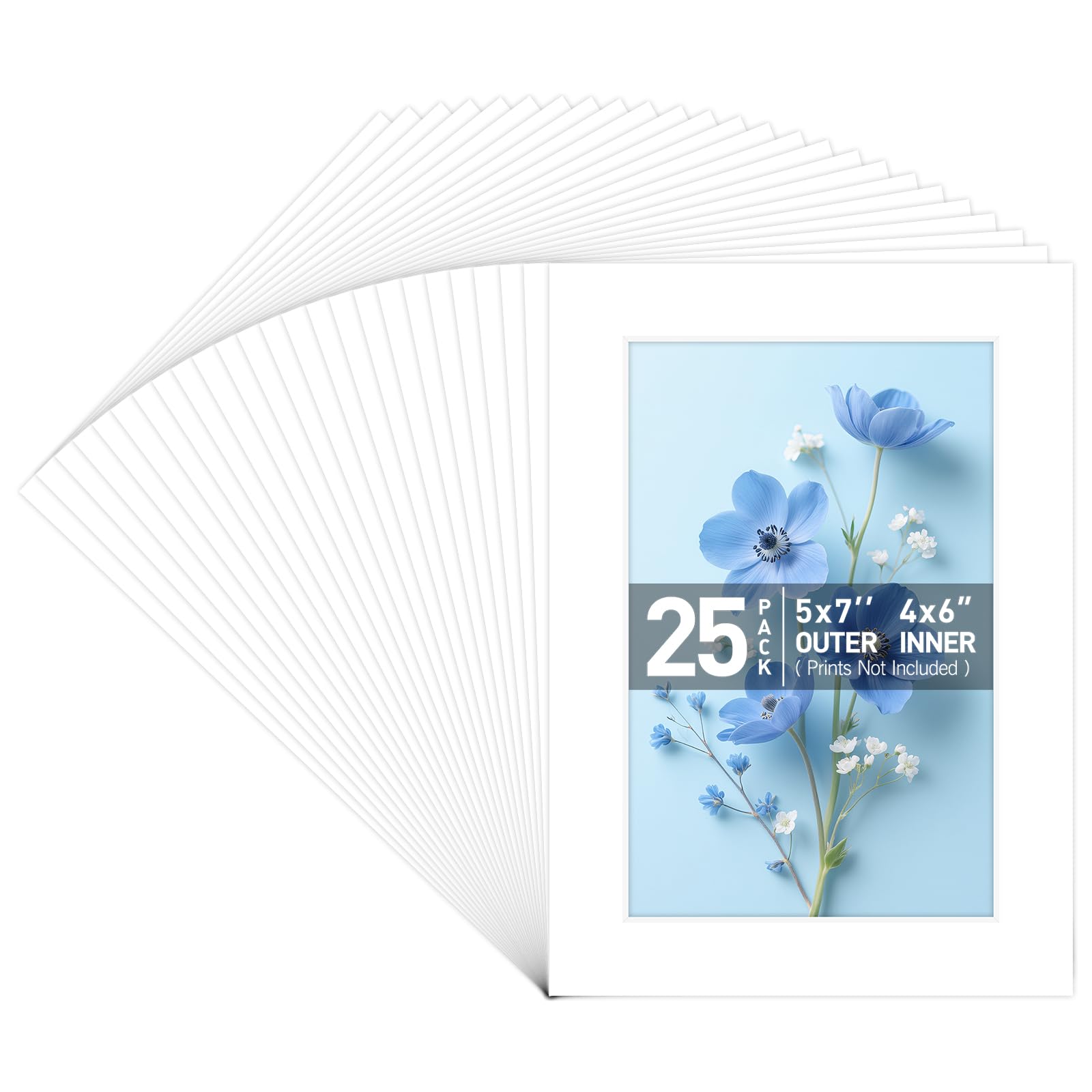 Golden State Art, Acid Free, 5x7 White Picture Mats Mattes with White Core Bevel Cut for 4x6 Photo by Golden State Art-image-20