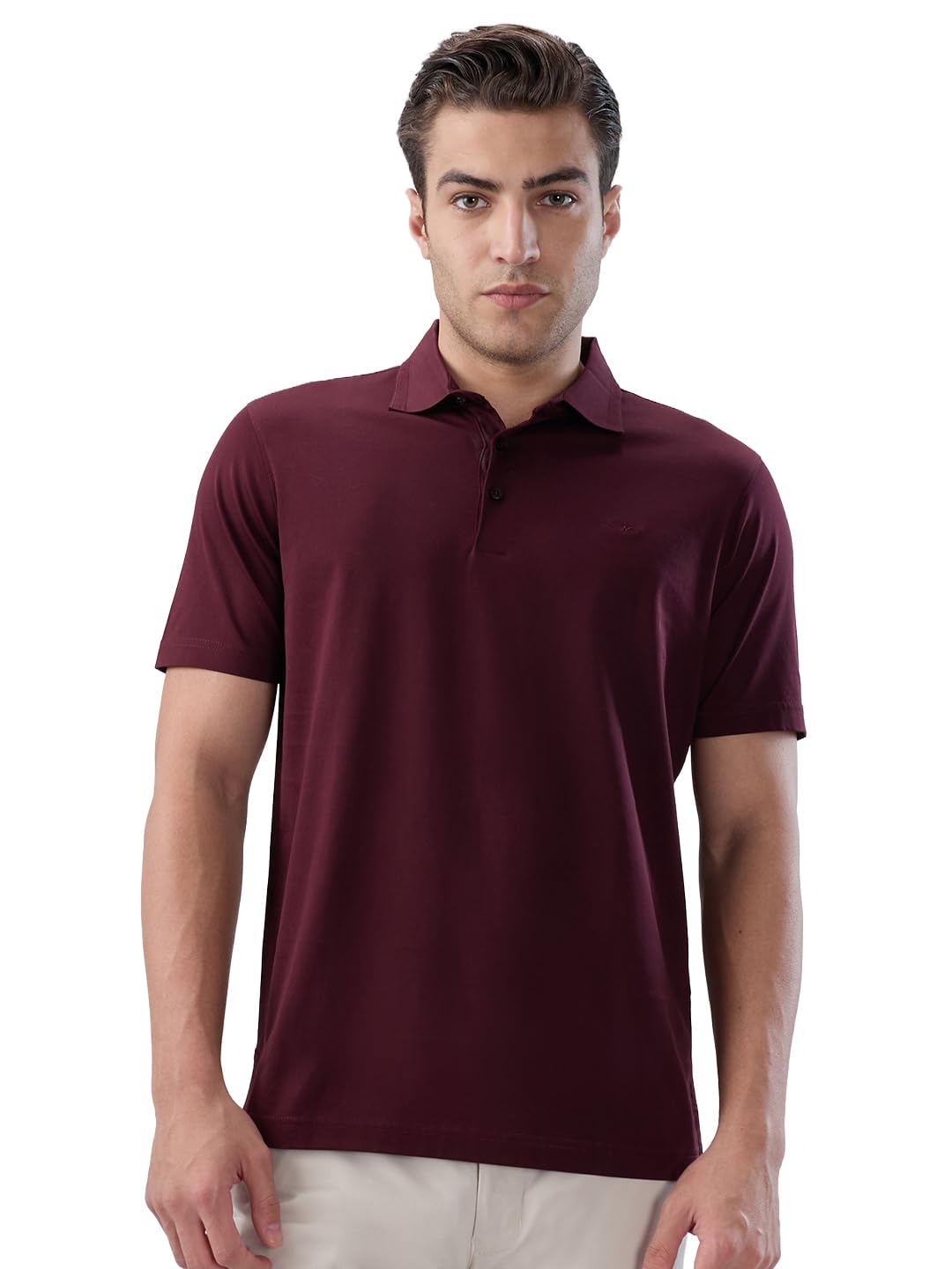 park avenue Men Regular Fit Solid Pattern Pure Cotton Half Sleeve Polo Neck Loungewear T-Shirt-picture-30