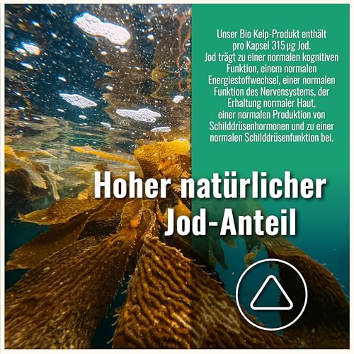 Kelp Cdf Sports & Health Solutions Kapseln Natürliches Jod aus Braunalgen