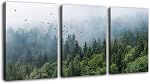 Large Green Forest Wall Art Tropical Virgin Forest Mountain Bird Contemporary Canvas Pictures Modern Artwork Framed for Bathroom Bedroom Nursery Living Room Home Office Kitchen Wall Decor 40 x 60cm 3 Pieces