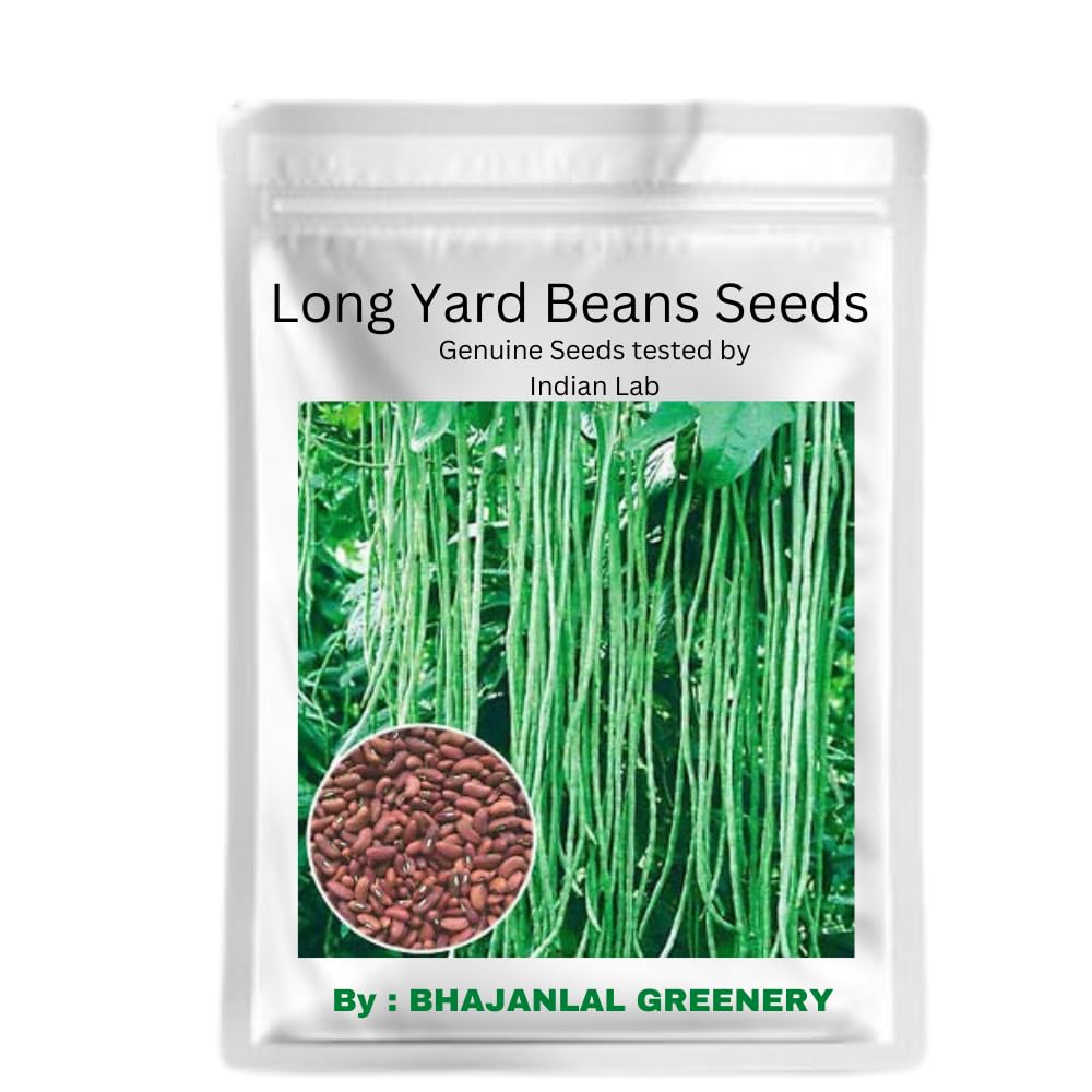 Bhajanlal Greenery Vegetable Seeds Rare Hybrid Yard Long Bean Anaswara Variety Cowpea Seeds | 1 Packet : 50+Seeds (B0CYTTK1RM) Amazon Price History, Amazon Price Tracker