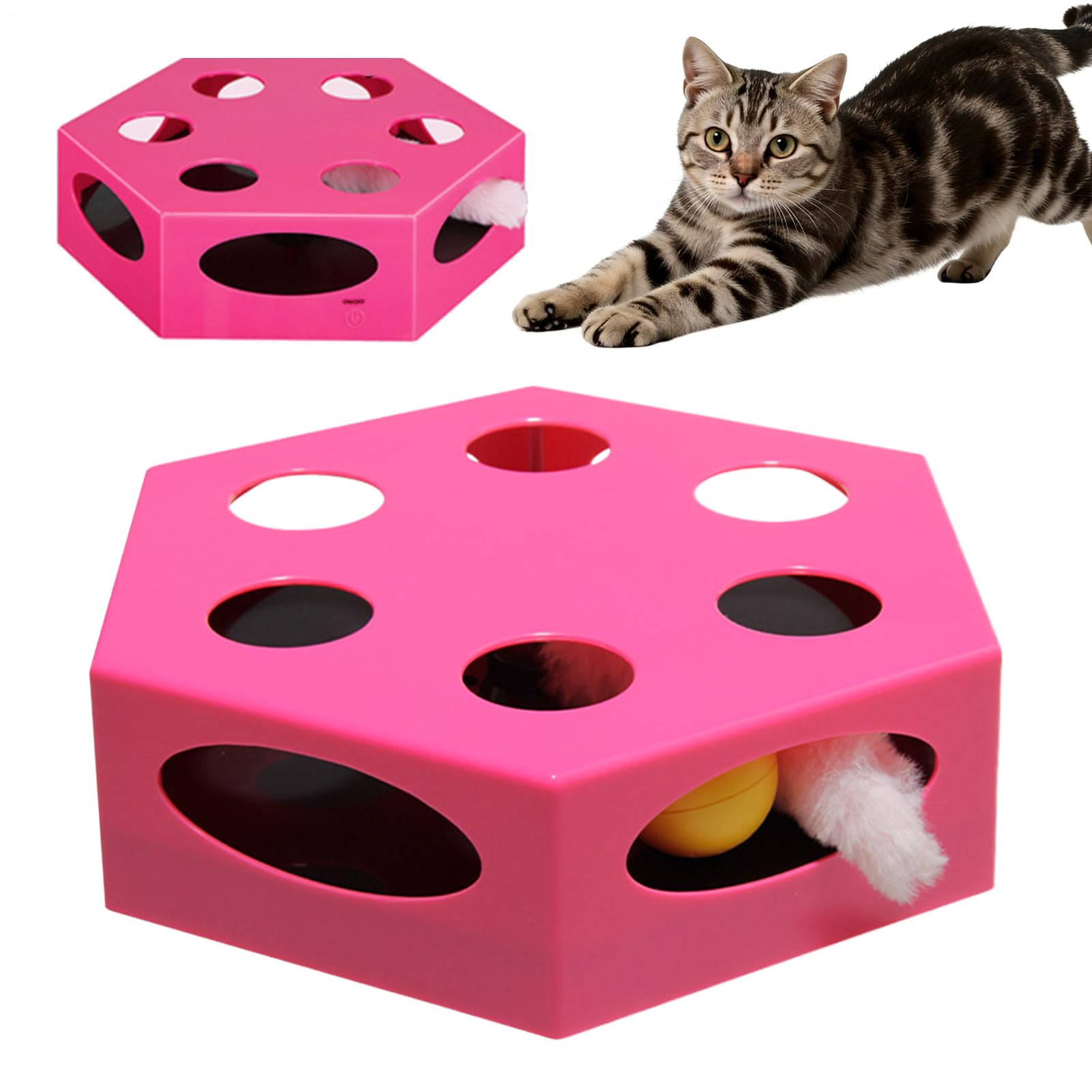 Exercice et jeu pour chat d'intérieur avec distributeur intelligent