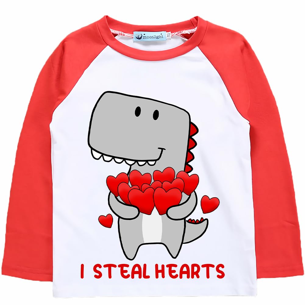 Boys Valentine's T-Shirt Kids Valentines Tee Monster Truck Dinosaur Digger Love Heart Clothes Toddler 2-7T