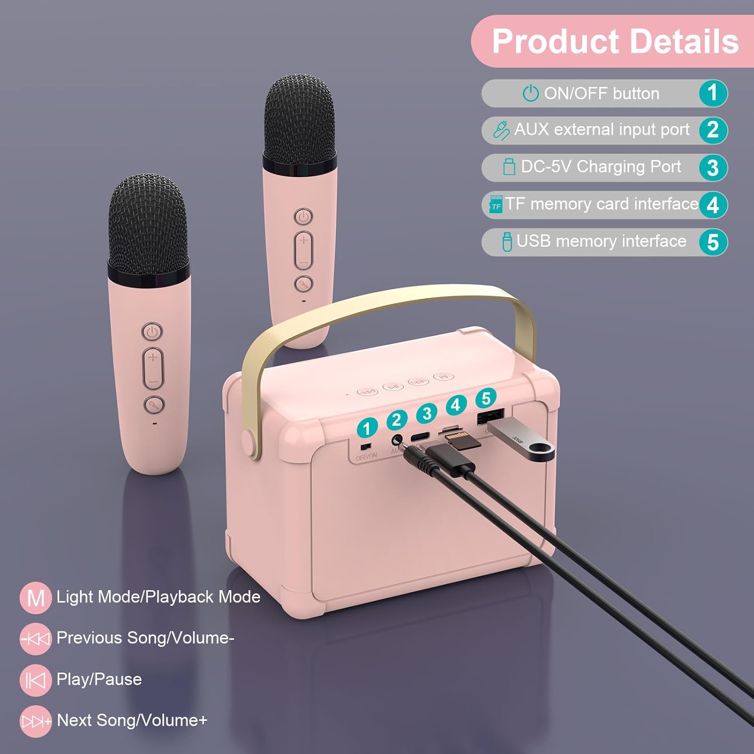 Diagram showing ports and buttons on the ERAY WD11 karaoke machine speaker
