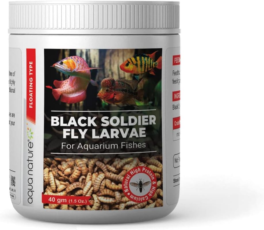 AquaNature® High Protein Dried Black Soldier Fly Larvae Food for Arowana, Flowerhorn, Oscar,Blood Red Parrot and Other Carnivorous Aquarium Fish (160 G), All Life Stages