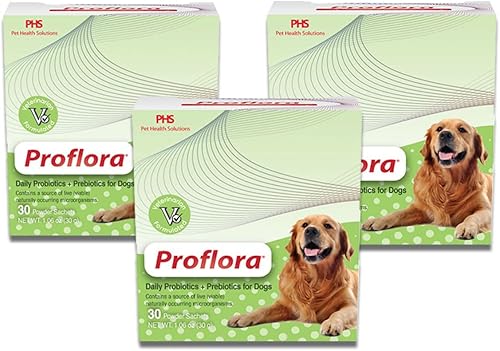 Probiótico para perros - Digestión saludable - Impulsa el sistema inmunológico - Función intestinal normal - Salud de la piel y el pelaje -