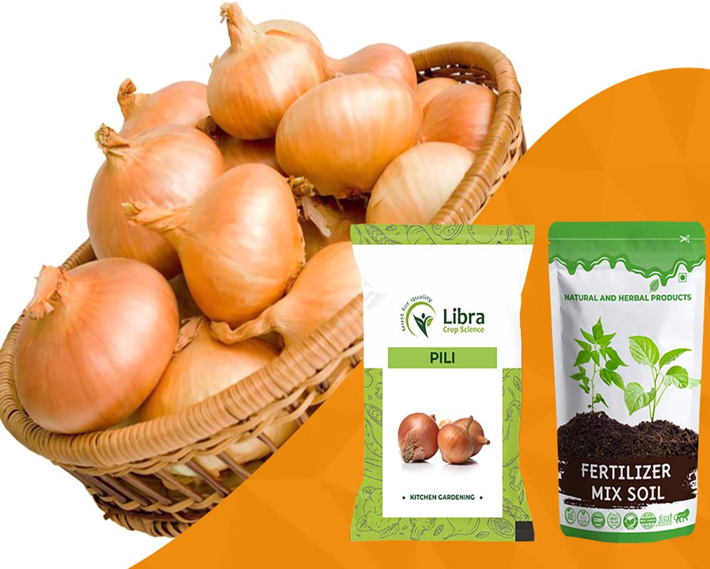 Gold Onion Seeds for Home Garden | Farming | Vegetable | Kitchen | Hybrid | Planting | Terrace | Balcony | Eating | Pyaj | Red Onion | Pink Onion | Dungali - 5 Gram : 1207 Seed (PILI) (B0B4JW573J) Amazon Price History, Amazon Price Tracker