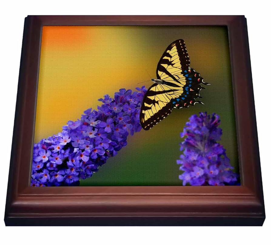 Amazon | 777imagesデジタルアート – 蝶 – Yellow Tiger