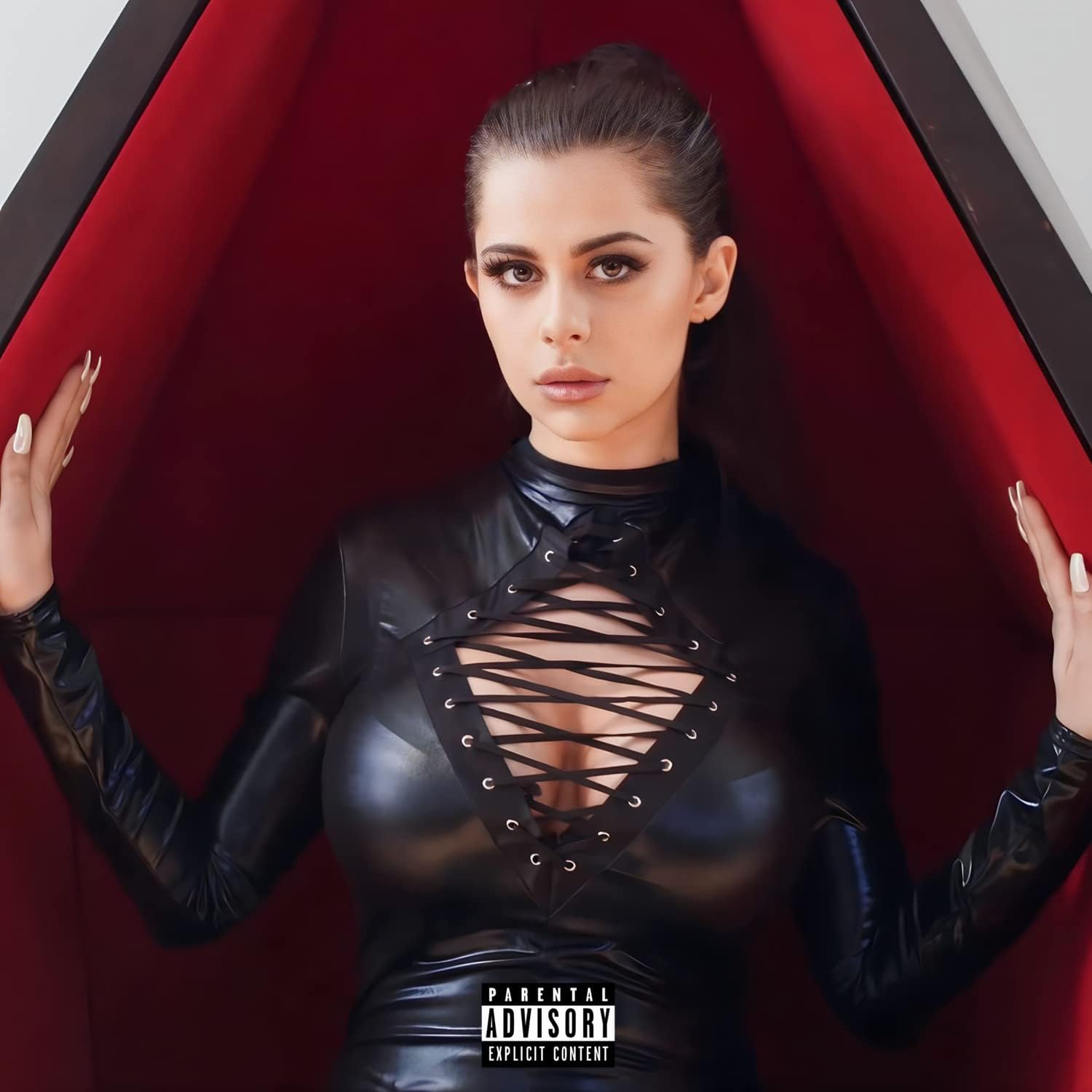 Porno sotuvchini sikdi