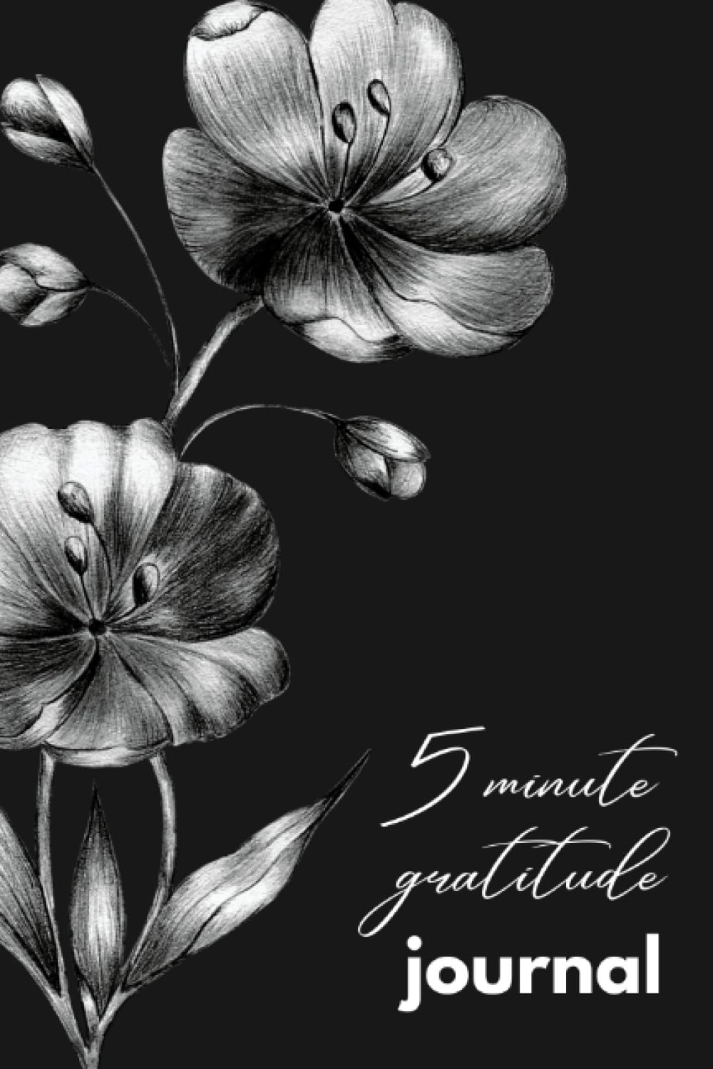 5 minutes gratitude journal: Spend a few minutes each day cultivating appreciation, mindfulness, and positivity.