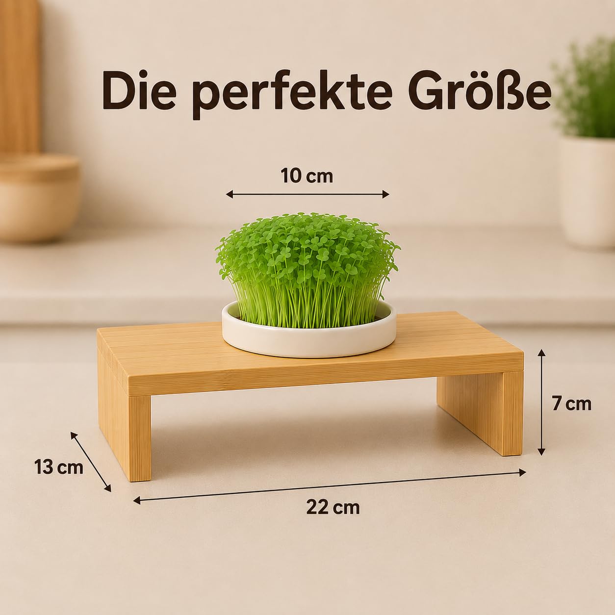 Glücksmoment Kressebank 23cm mit Keramik Kresse Anzuchtschale für Kressesamen, Sprossen & Microgreens, Sprossen Anzuchtset, Anzuchtregal, Anzuchttopf, Keimschale mit Kressesieb