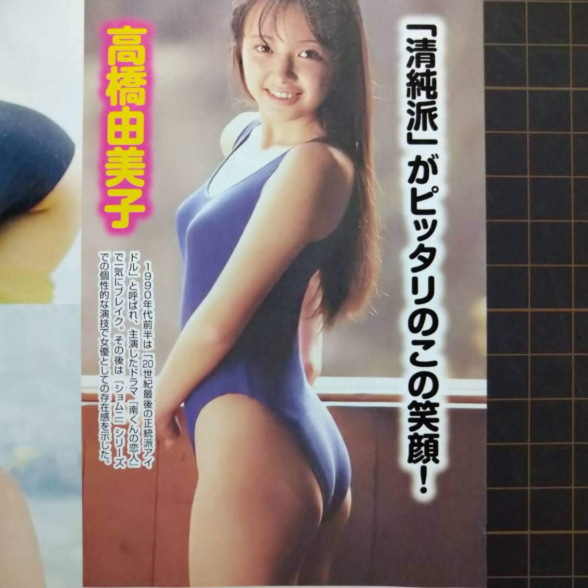 水着ハプニング Amazon.co.jp: お宝ハプニング～アイドル水着高橋由美子浅香唯中森明菜斉藤由貴 昭和#80年代アイドル#スケバン刑事#82年組 切り抜き2p  : おもちゃ