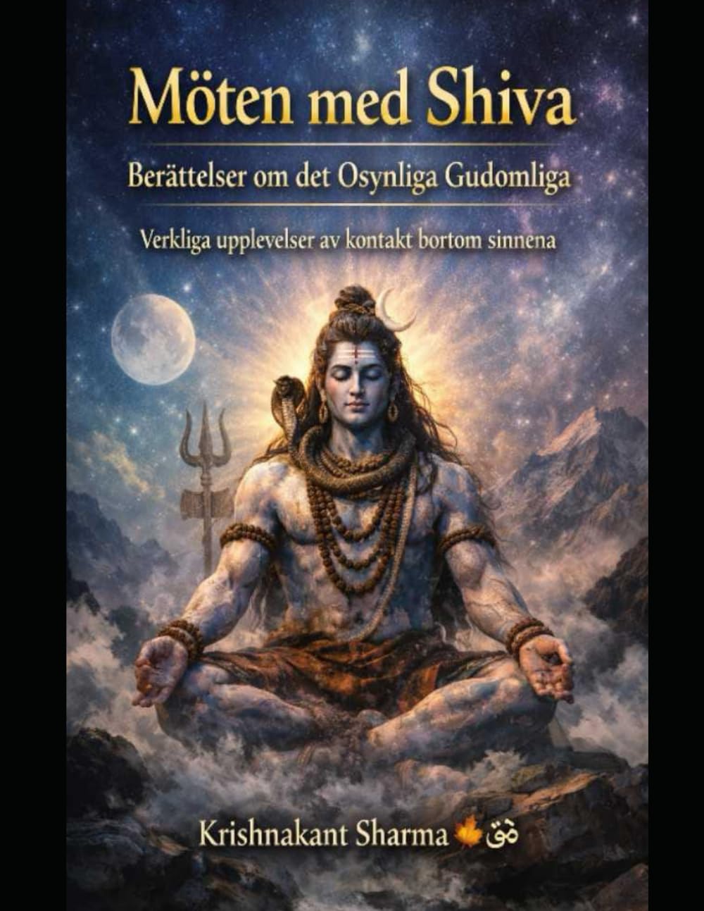 Möte med Shiva: Berättelser om det osynliga gudomliga Verkliga livserfarenheter av förbindelse bortom sinnena
