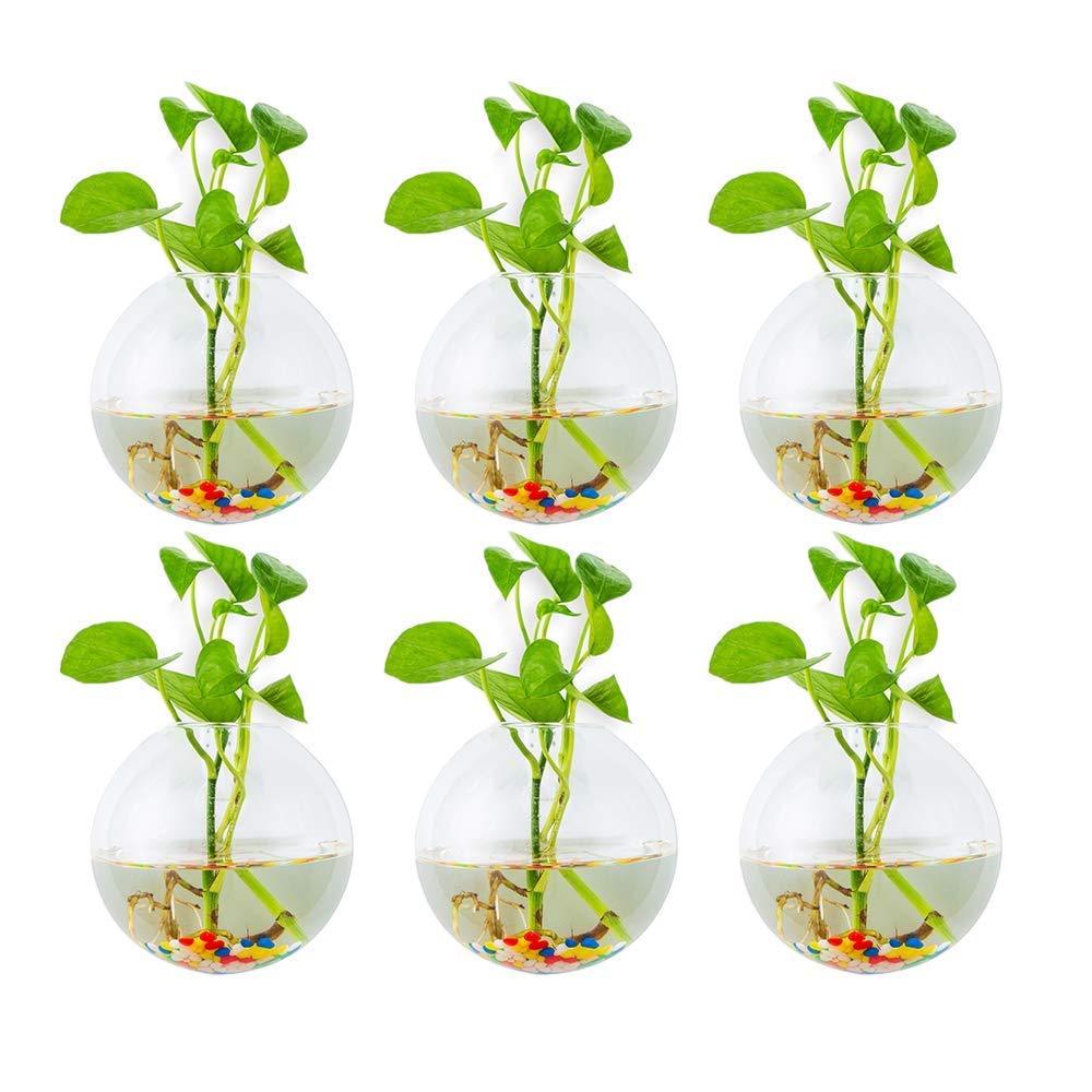 Glasseam Clear Wall Hanging Glass Planters 6Pcs Spherical Shape Plant Pots Terrarium Container Vase With 6.36 Oz Colorful Stones Indoor Outdoor For Home Garden Office Wedding