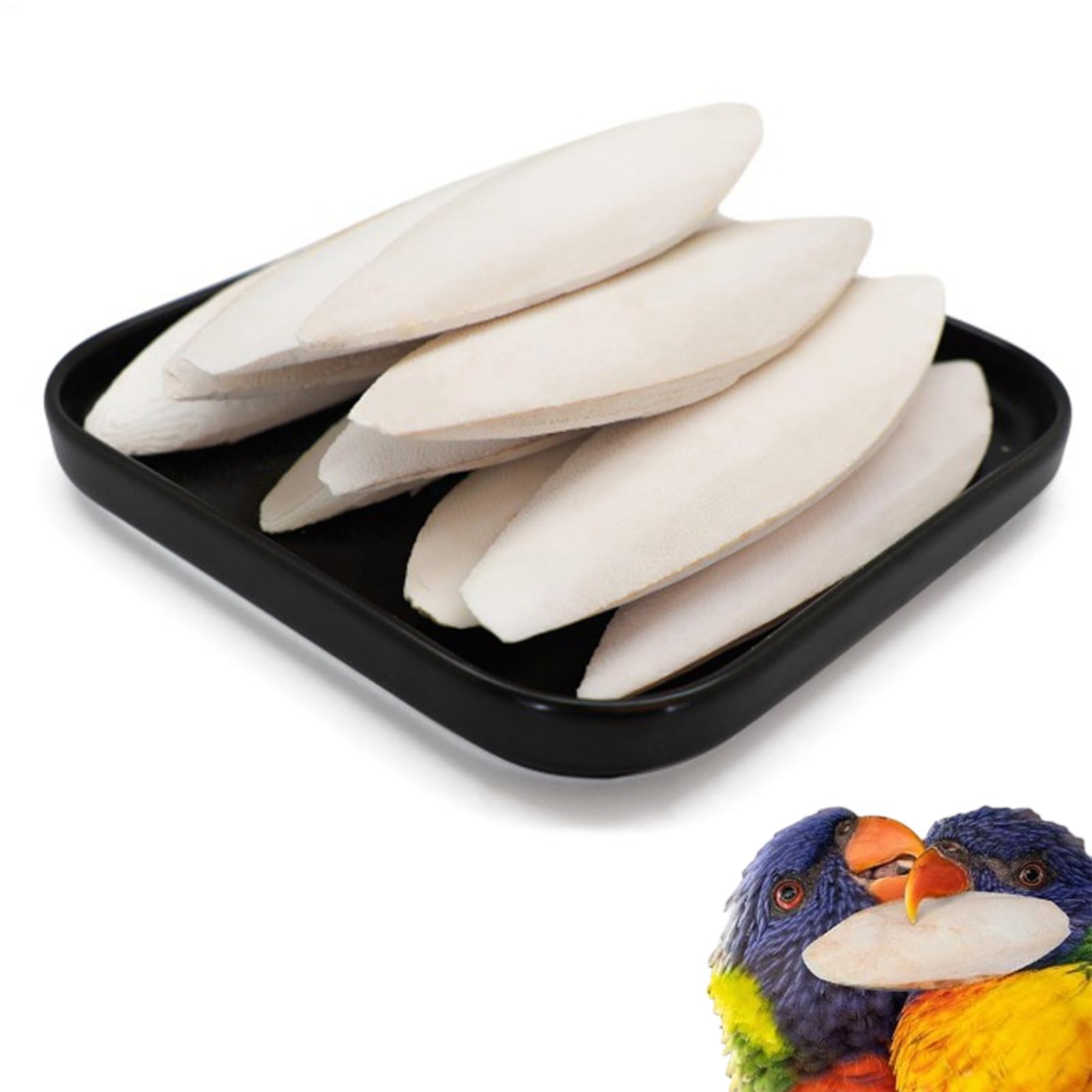 Cuttlebone for Tortoise - Natural Cuddle Bone - Bird Beaks Cuttlefish Bone, Cuddle Bone Toy Toys for Birds, Reptiles, Snails, Turtles
