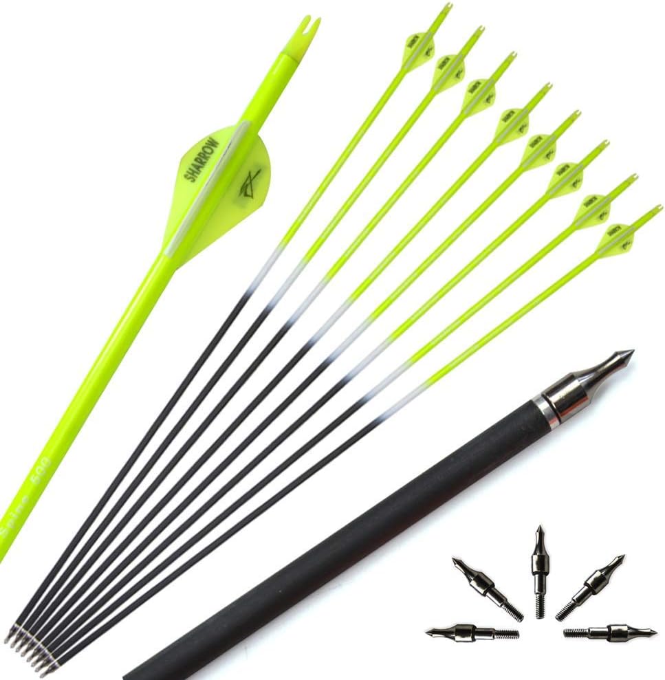 Archery Carbon Arrows Target Practice Arrows with Replaceable Steel Tips for Recurve and Compound Bow Spine 500