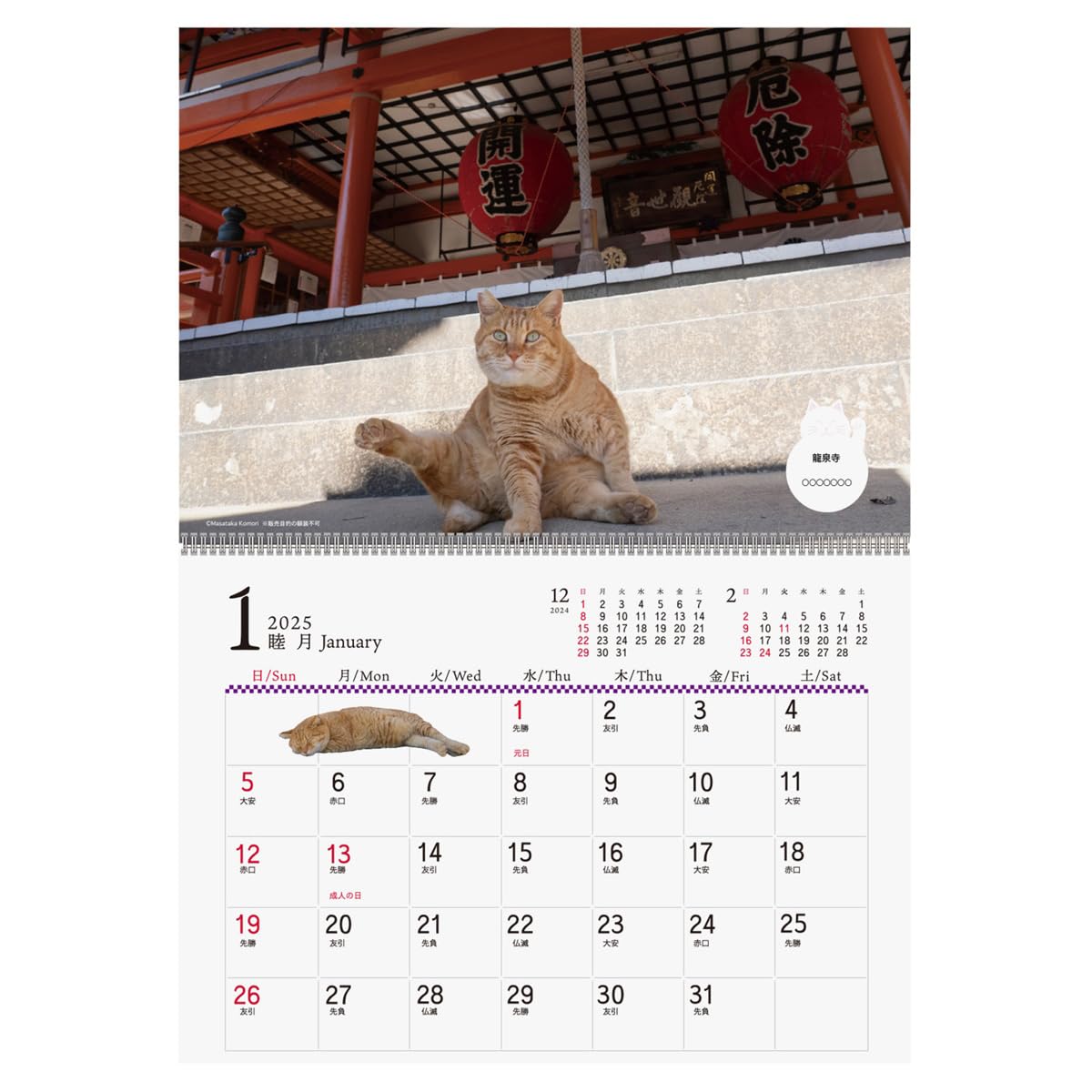 猫が邪魔で何も見えないカレンダー Amazon.co.jp: 2025年 招福!お猫様 カレンダー No.033 : 文房具