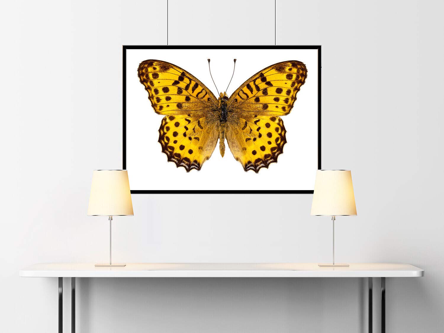 Plunger, Press Fit, Steel, B/O, 0.48, PK5