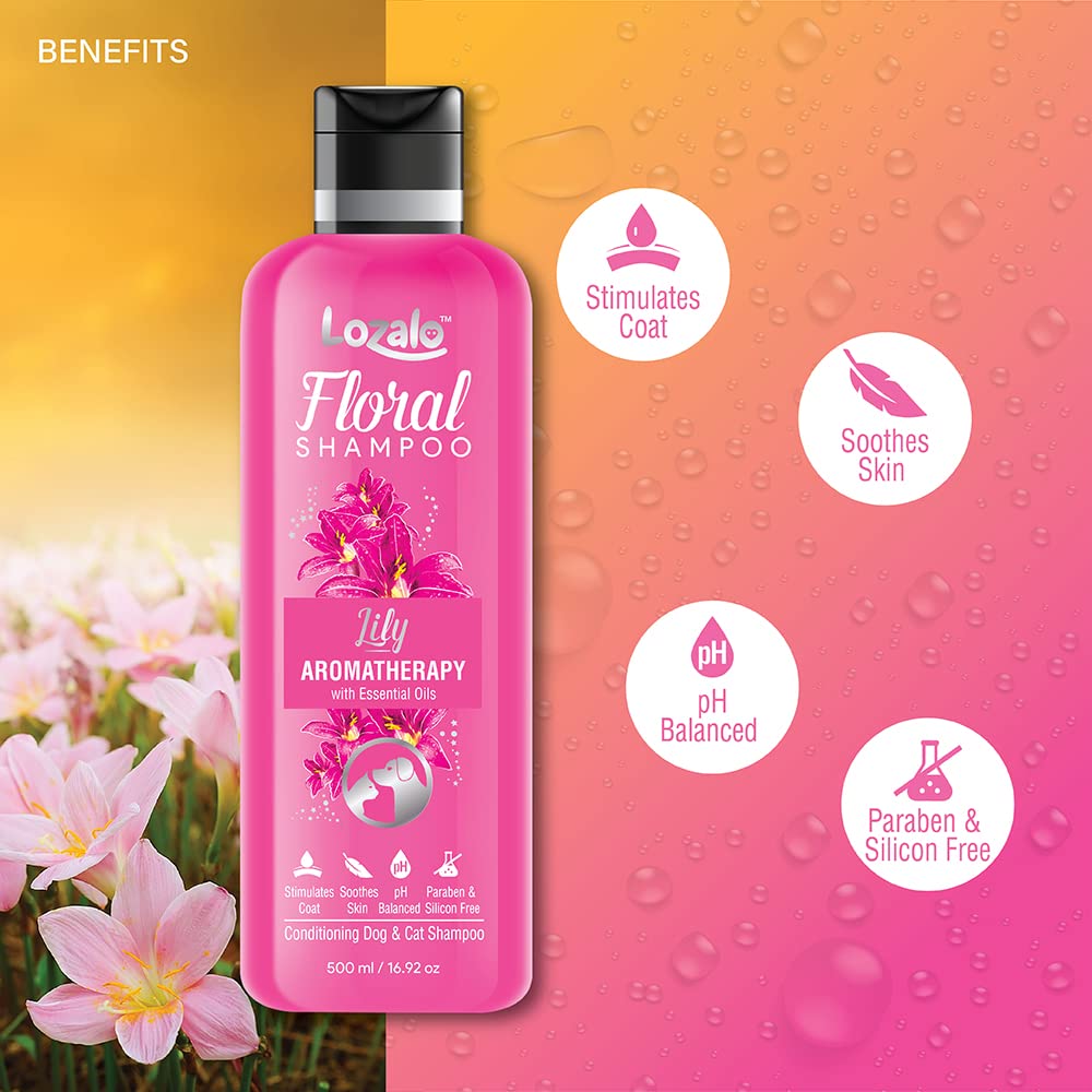 Lozalo Floral Aromatherapy Pet Conditioning Shampoo - 500 ml, Pack of 2x250 ml, Lily Fragrance, Coat Cleansing, Odour Control Shampoo for Dogs & Cats, with Aloe Vera Extract and Saffron Oil 1