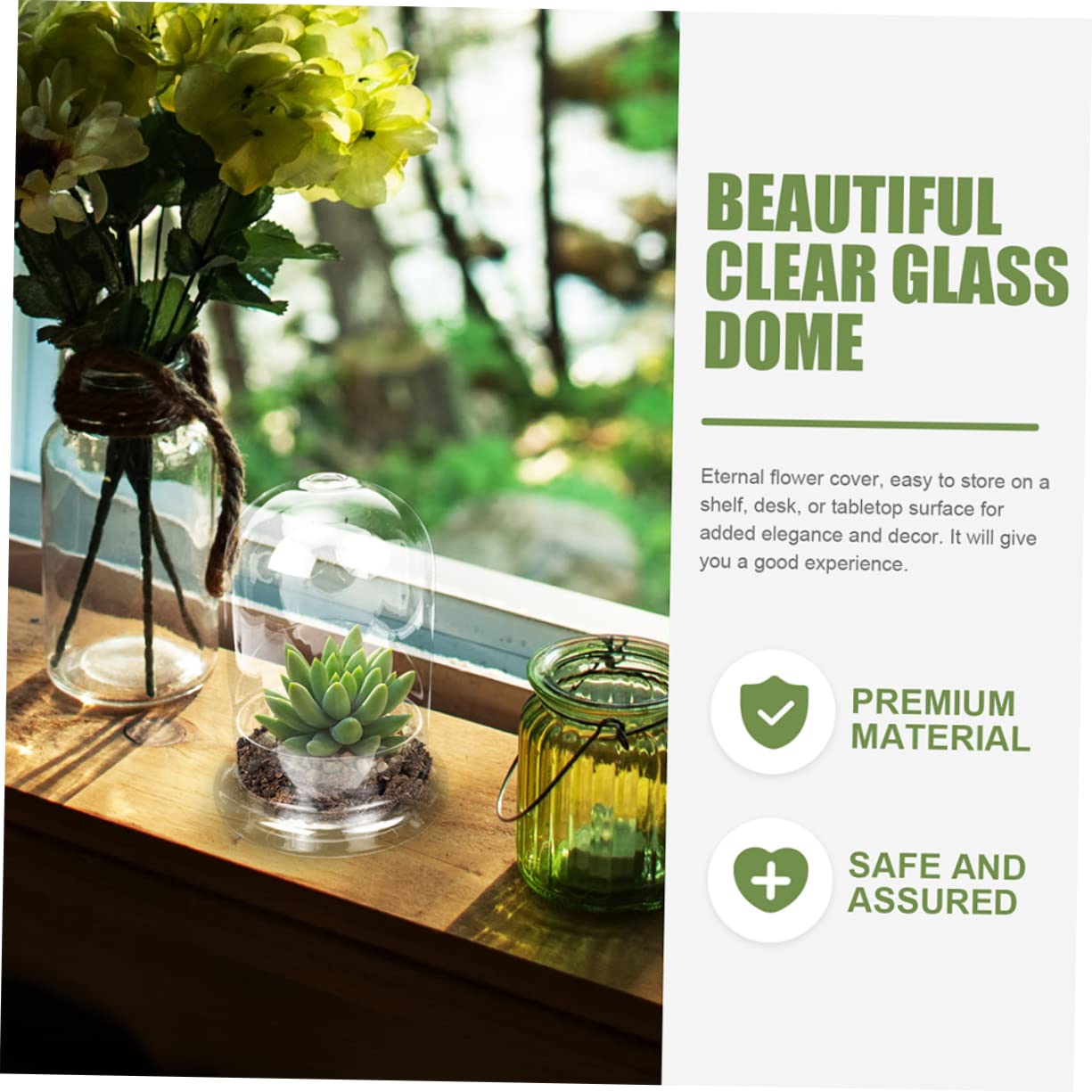 HANABASS Vaso Terrario Bottiglia in Vetro Ecologica Contenitore Decorativo Per Micro Paesaggi Piante Di Muschio Fai Da Te