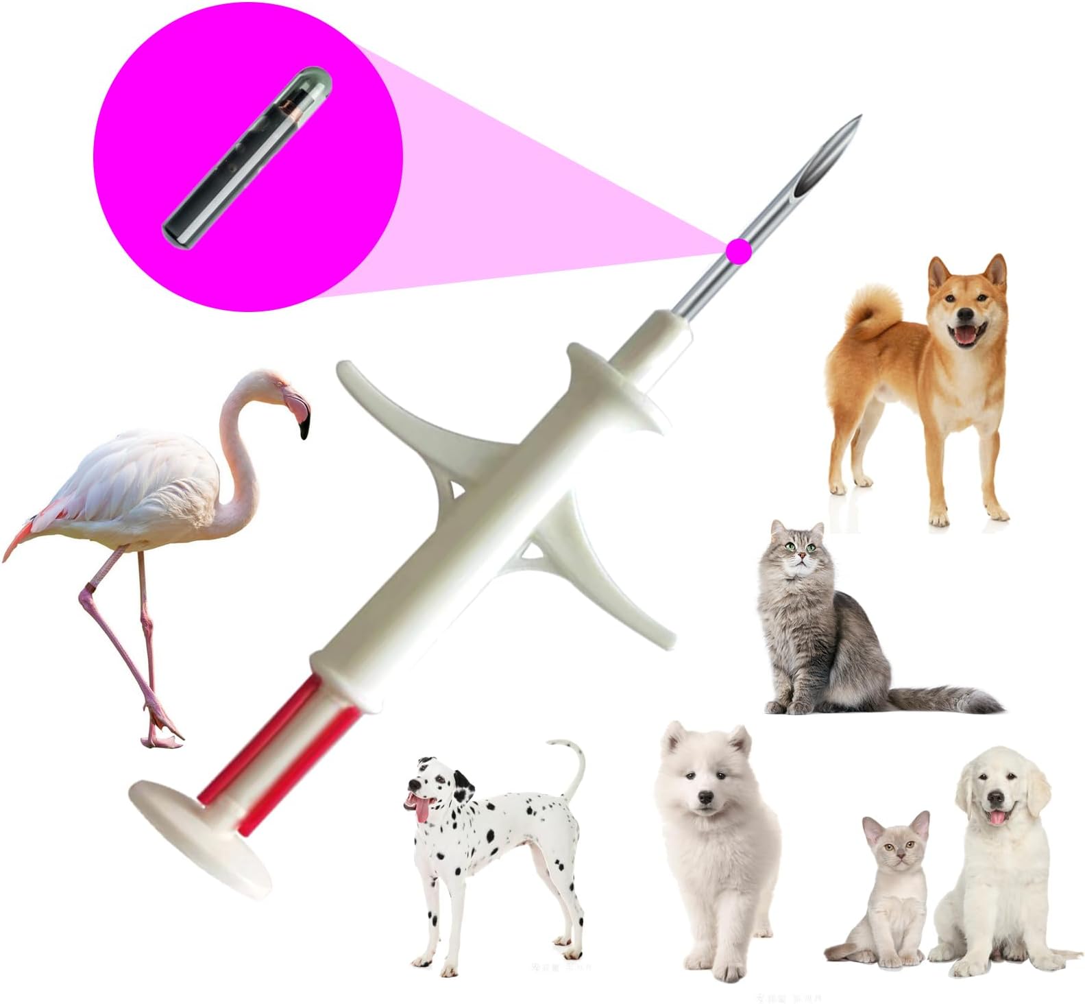 Pet Microchip Kit for Dogs and Cats 5 Pack ISO 11784/5 with 15 ID Numbers (1.4 mm Dia, 8 mm Length Microchip, 15 Gauge)