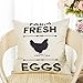 Fahrendom Rustic Spring Summer Decoration Farm Fresh Eggs Hen Vintage Country Style Retro Farmhouse Décor Gift Cotton Linen Home Decorative Throw Pillow Case Cushion Cover for Sofa Couch 18 x 18 in