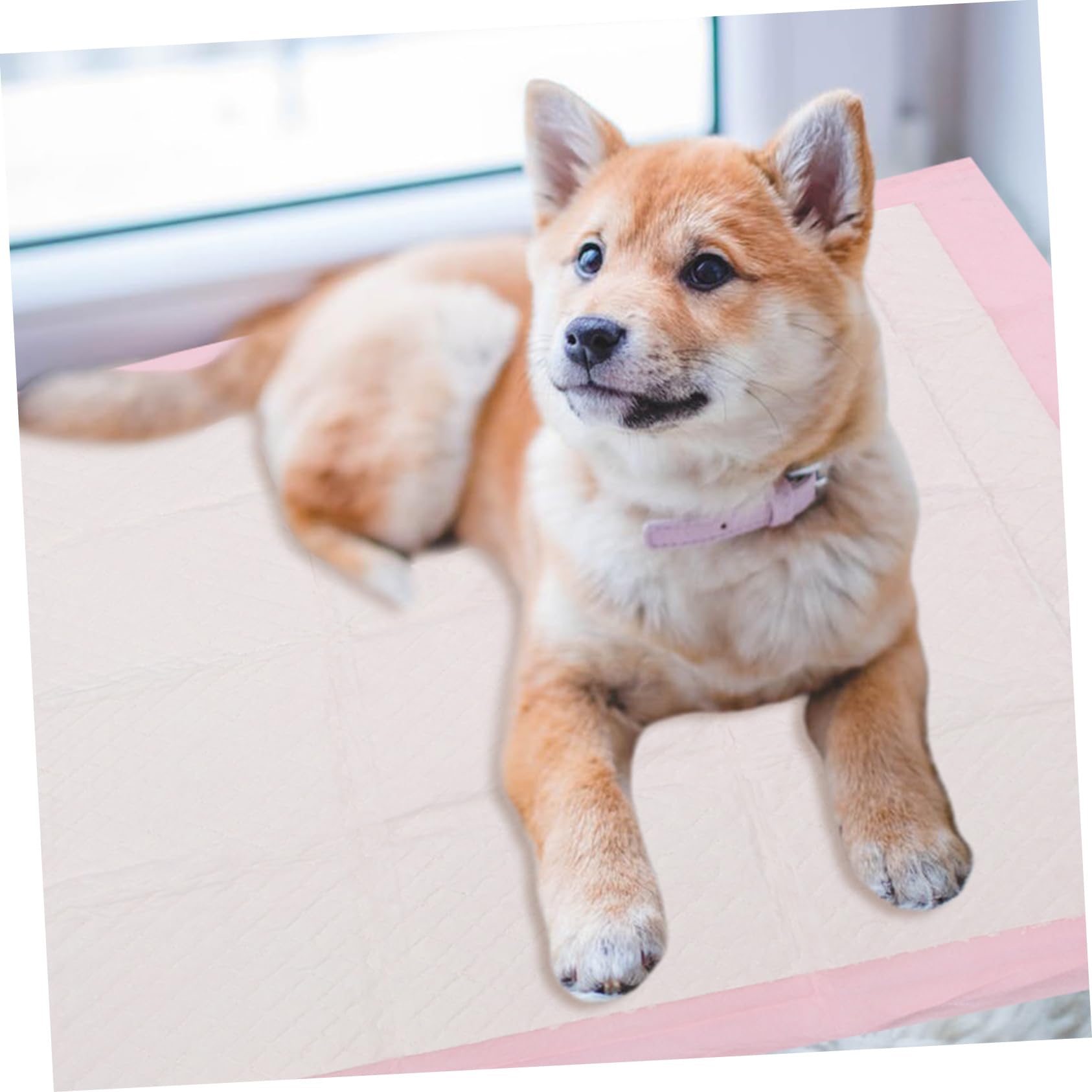 POPETPOP 1paquete Empapadores para Perros Almohadillas Absorbentes para Entrenamiento De Mascotas para Cachorros y Perros Mayores Uso Interior y Exterior