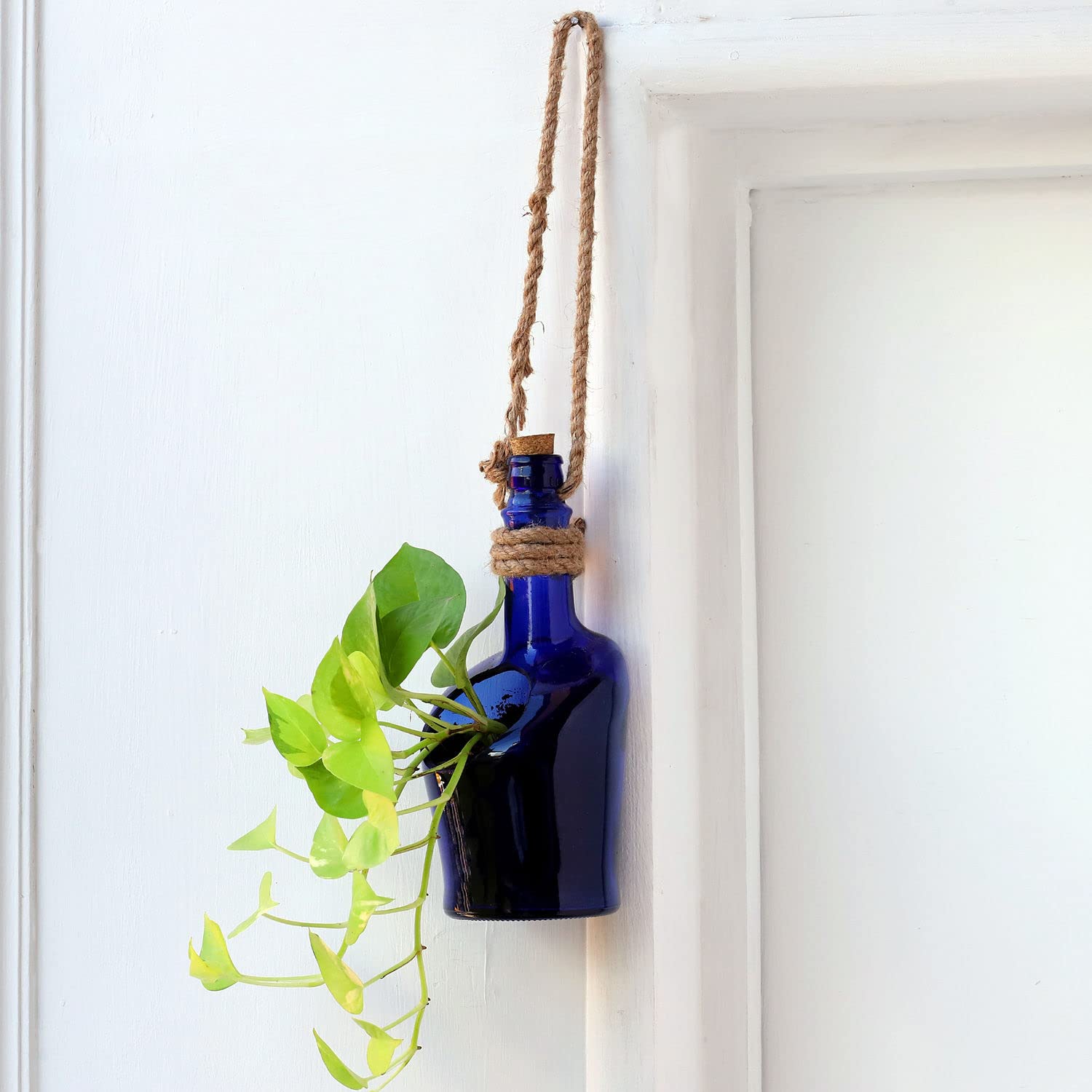 INDIAN DECORATION Hanging Bottle Planter Decorative Flower Pot Showpiece | Money Planter for Terrace,Room,Garden,Flower Pots Blue Glass Planter - Table Top décor Flower Vase (B0BC9KZVJV) Amazon Price History, Amazon Price Tracker