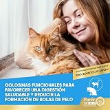 Ver la foto 3