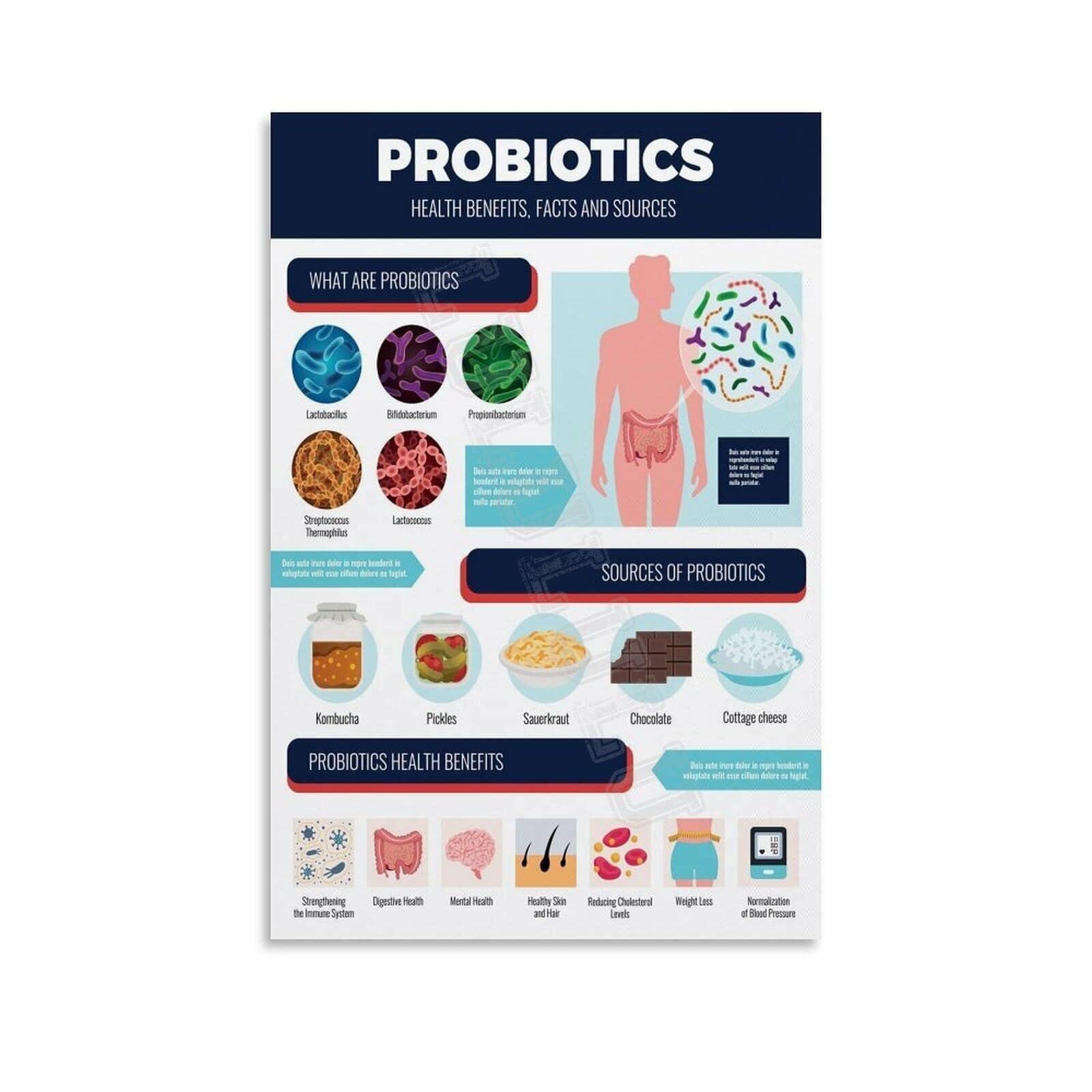 MDBJTCYZN Health Benefits of Probiotics Canvas Art Educational Wall Decor for Kitchen Home Office Nutrition(Framed,08x12inch(20x30cm))