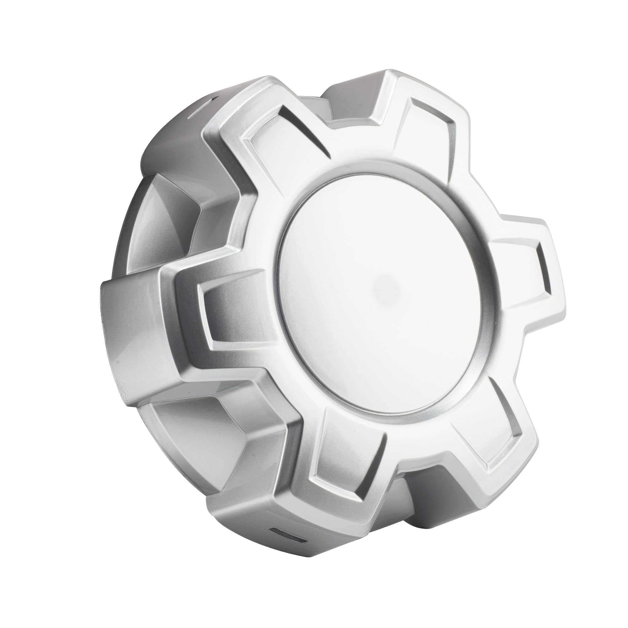 ST樣 Amazon.com: DewFlew 1Pc Wheel Center Cap for 2019-2024